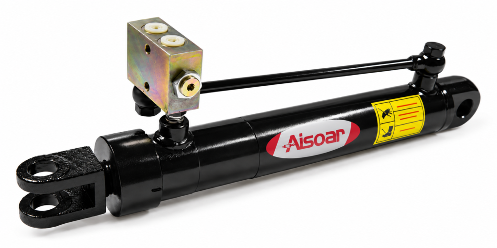 custom Integrated Valve Options hydraulic cylinder